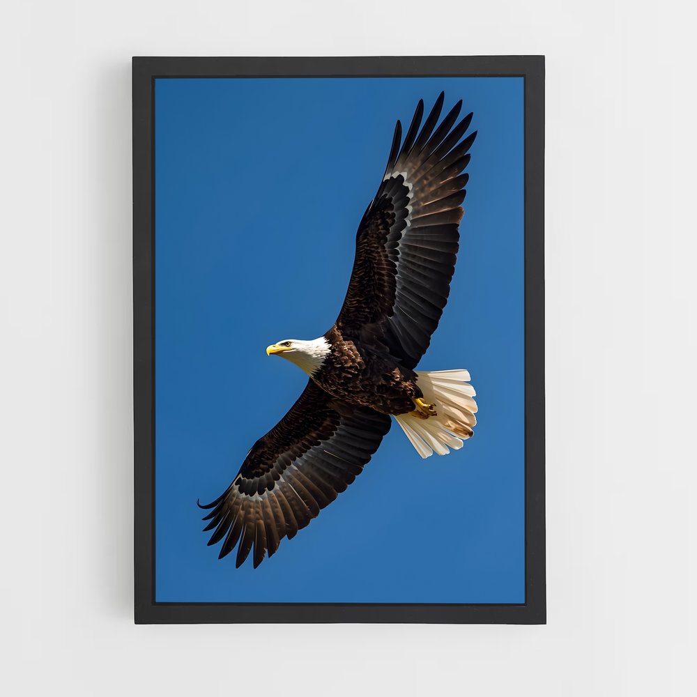 ap-eagle-4 cadre Noir