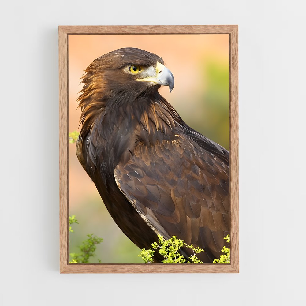 ap-eagle-7 cadre Bois clair