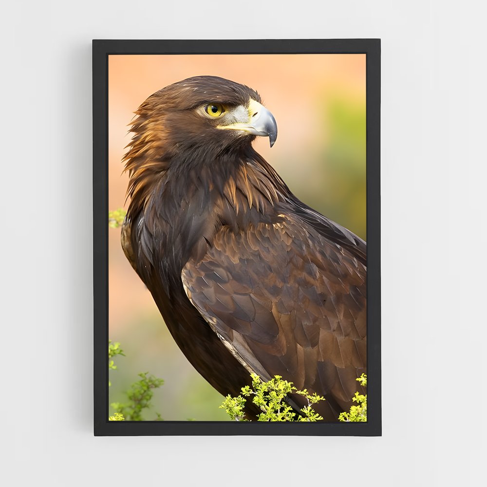 ap-eagle-7 cadre Noir