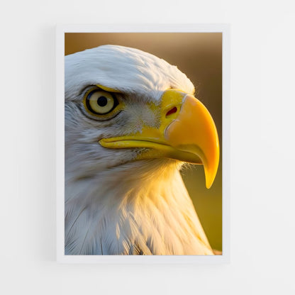 ap-eagle-8 cadre Blanc