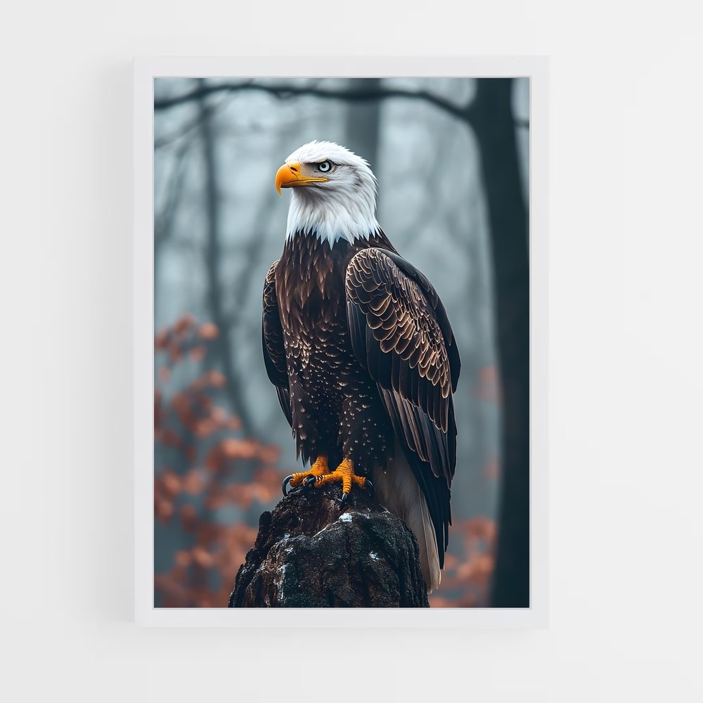 ap-eagle-9 cadre Blanc