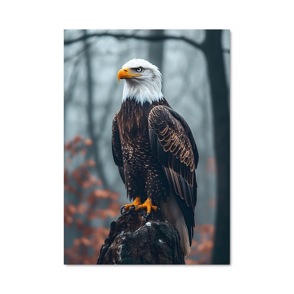 Poster Aigle Majestueux