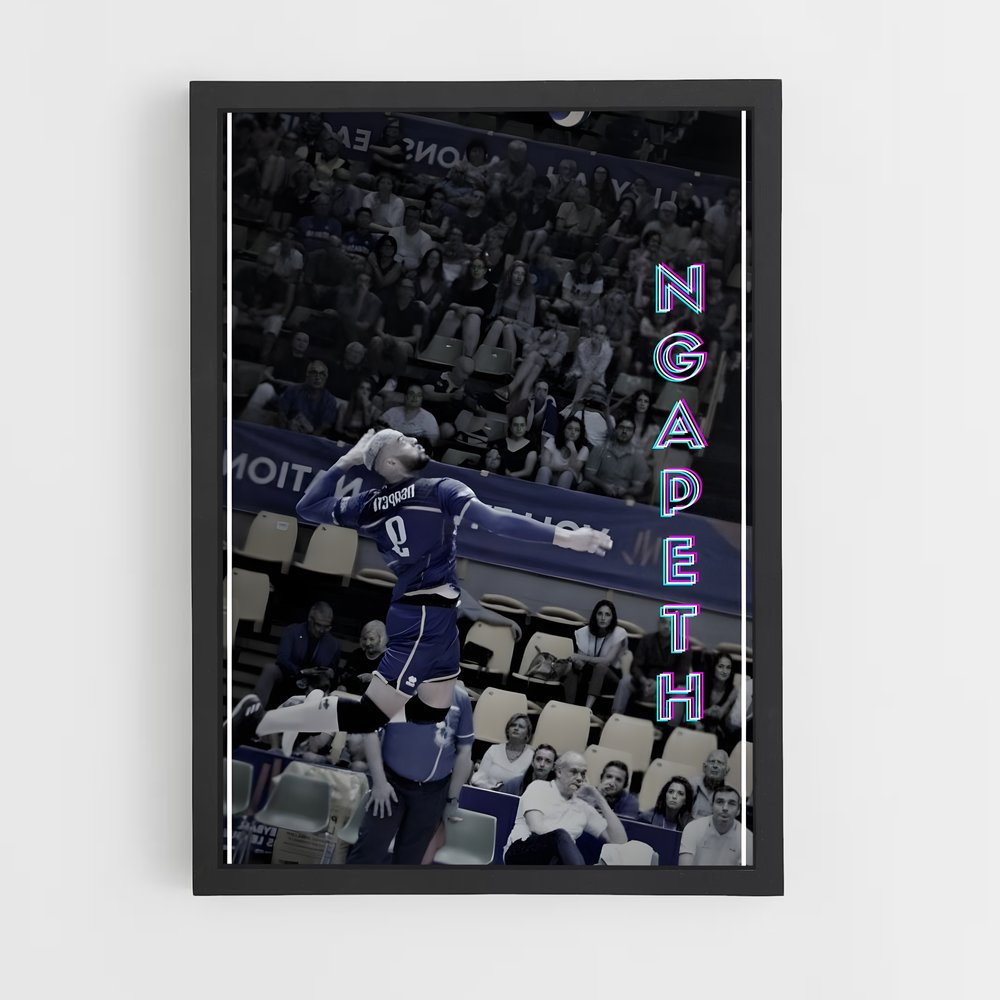 ap-earvin ngapeth-1 cadre Noir
