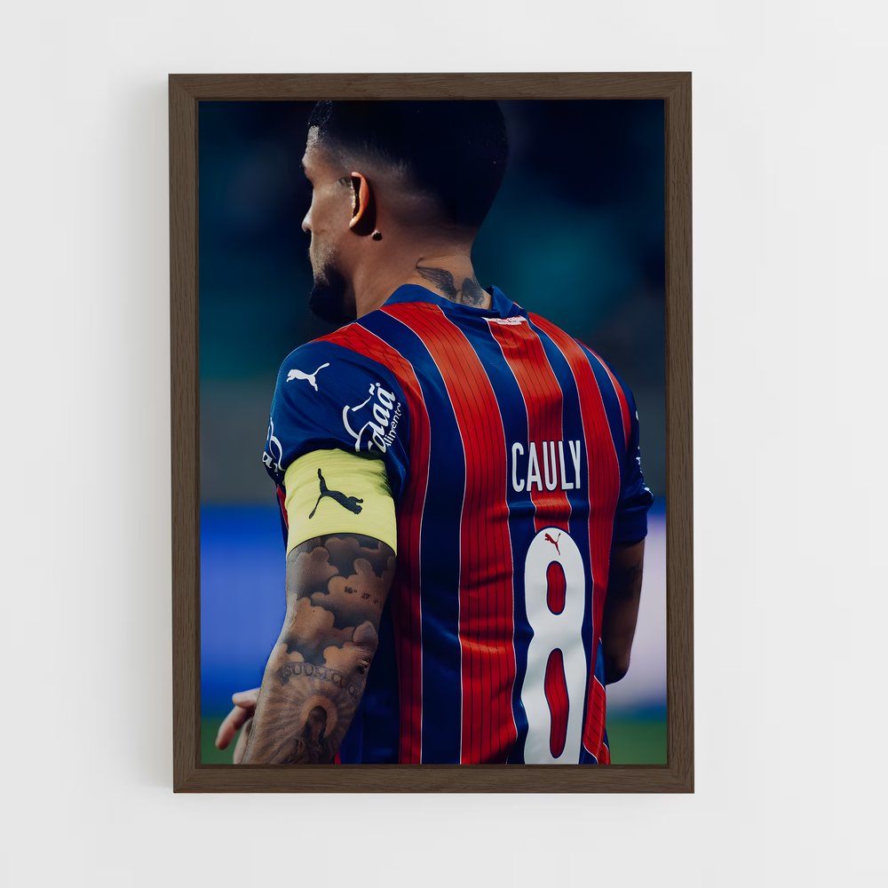 ap-ec bahia-13 cadre Bois foncé