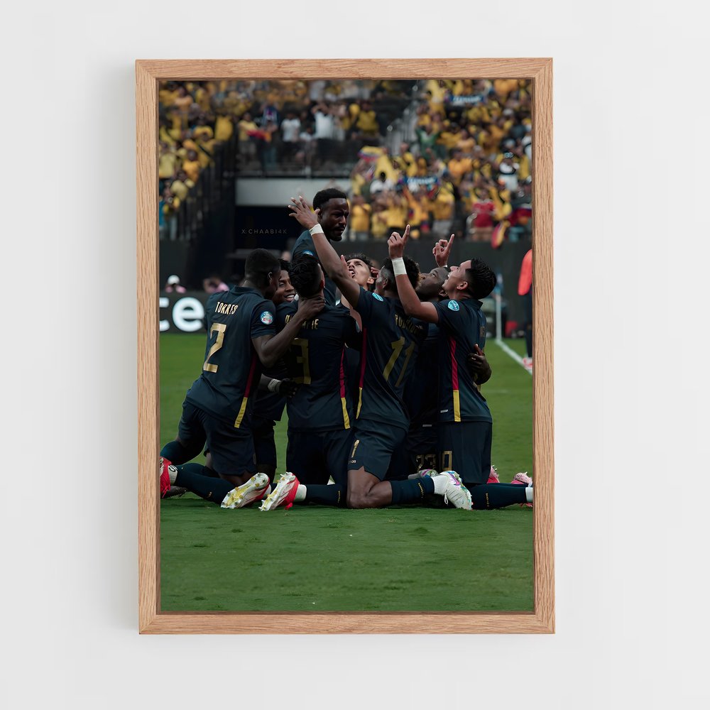 ap-ecuador national football team-1 cadre Bois clair