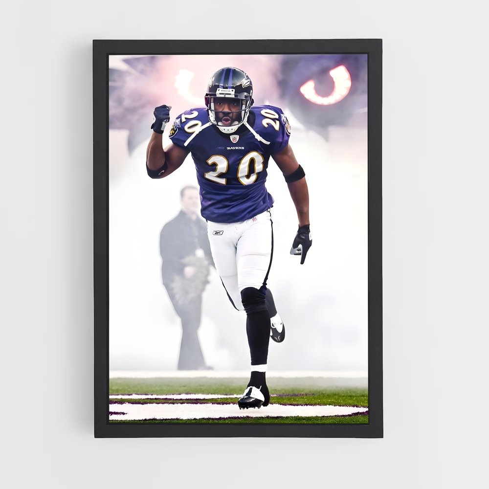 ap-ed reed-6 cadre Noir