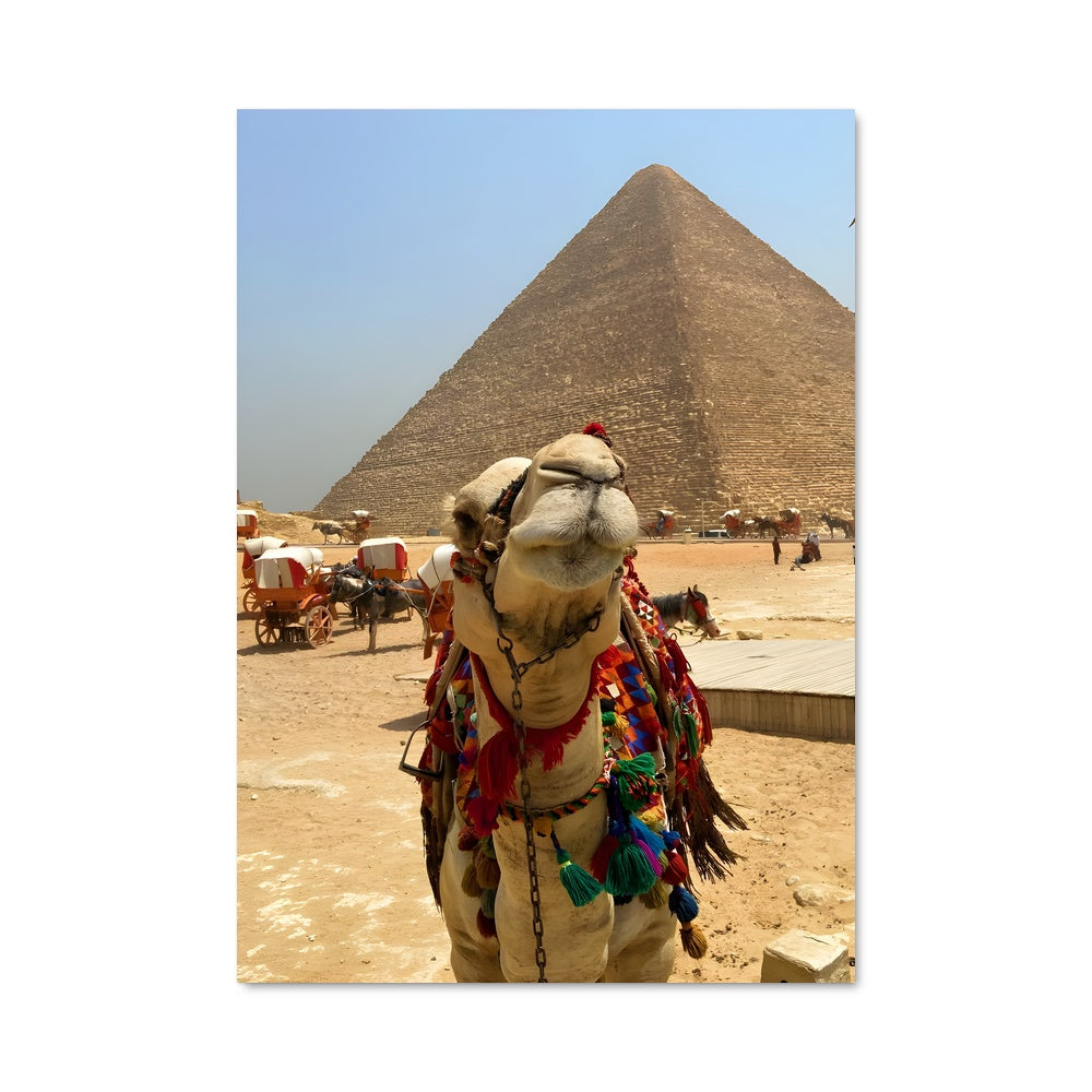 Poster Oasis des Pyramides