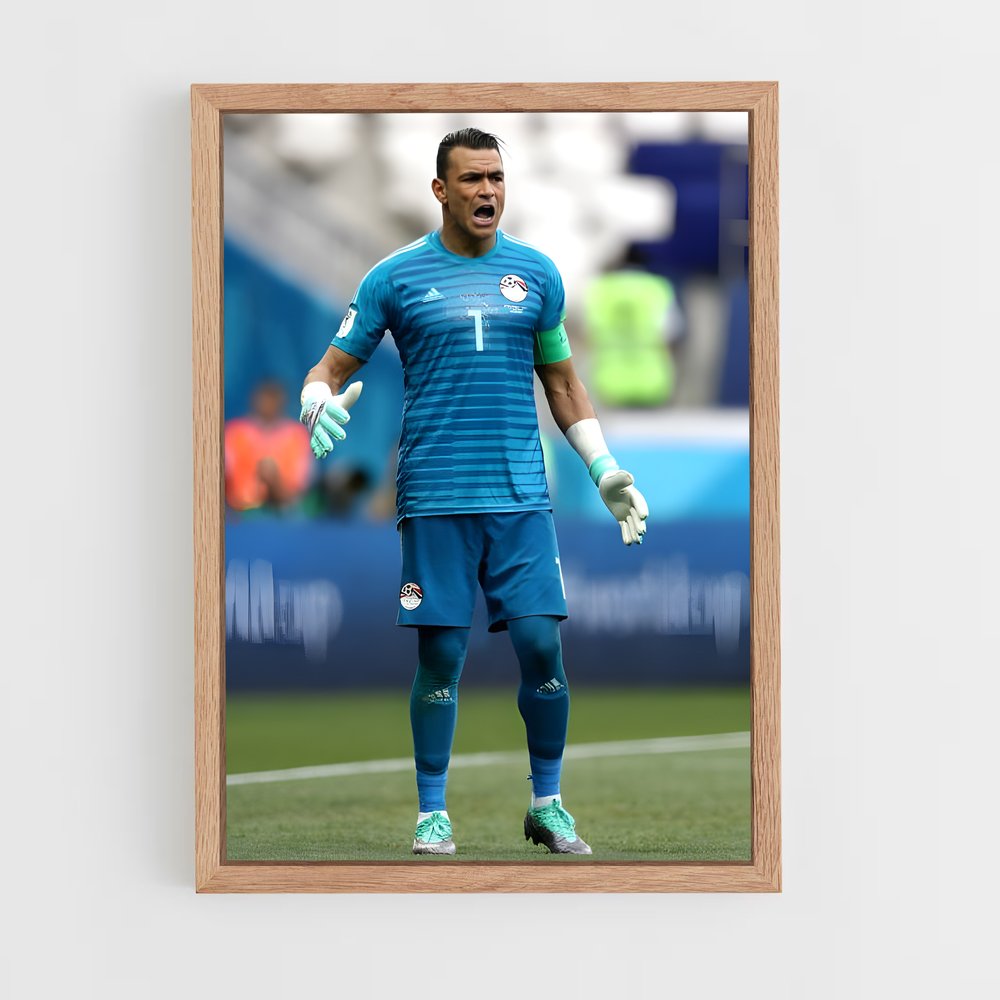 ap-egypt national football team-2 cadre Bois clair