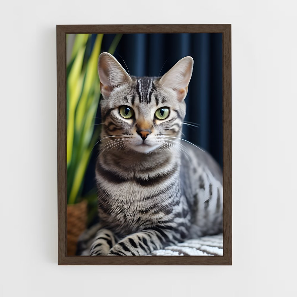 ap-egyptian mau-2 cadre Bois foncé