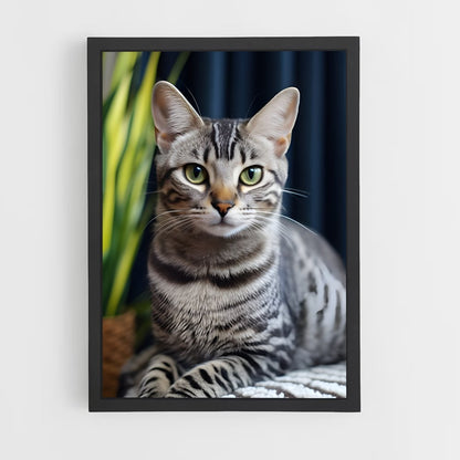 ap-egyptian mau-2 cadre Noir