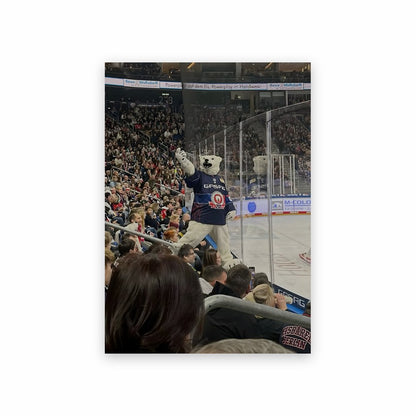 Poster La Fièvre du Hockey