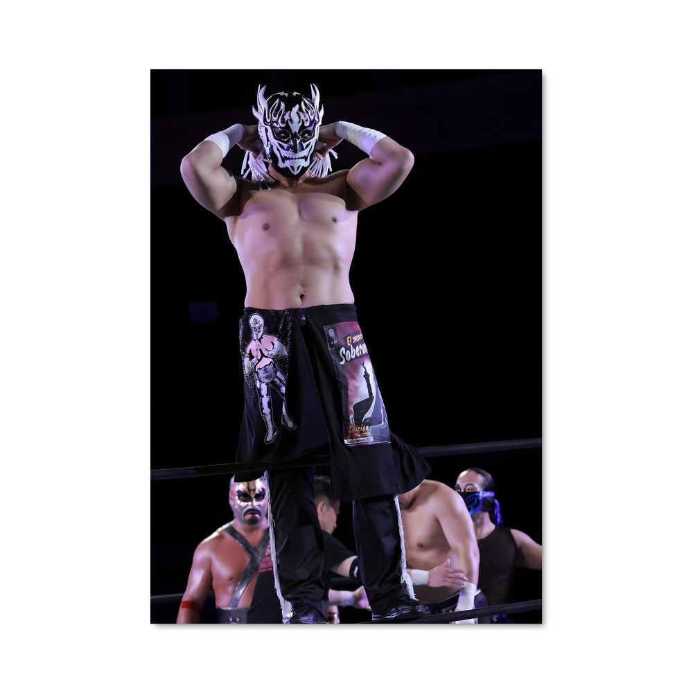 Poster El desperado 61269