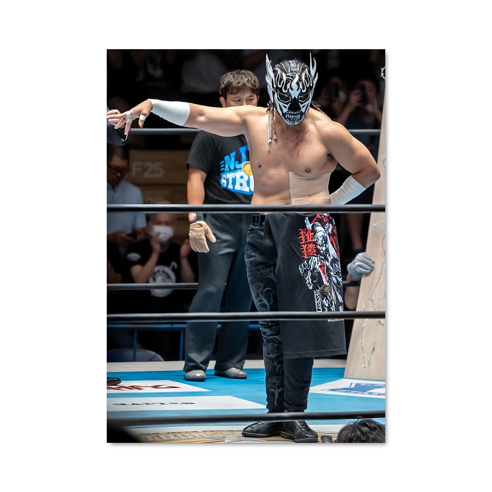 Poster El Luchador