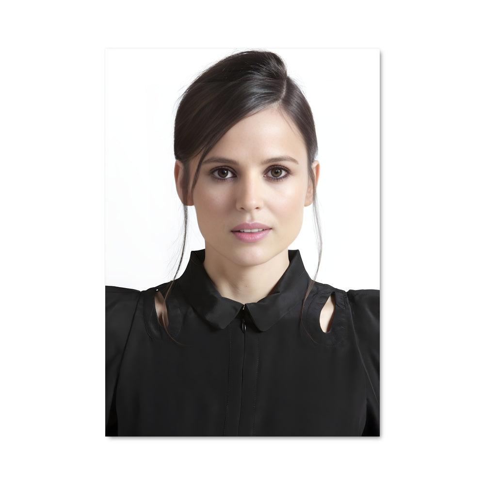 Poster Elena anaya 6473
