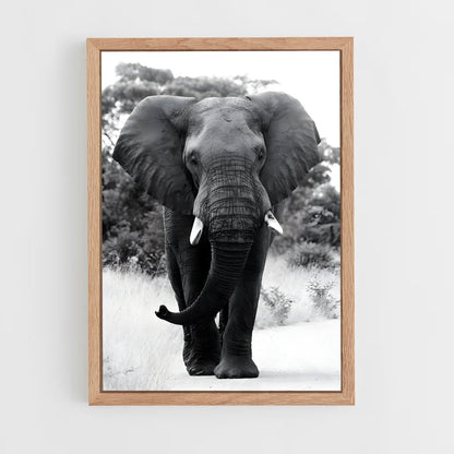 ap-elephant-10 cadre Bois clair