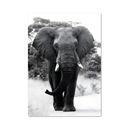 Poster La Route de l'Éléphant