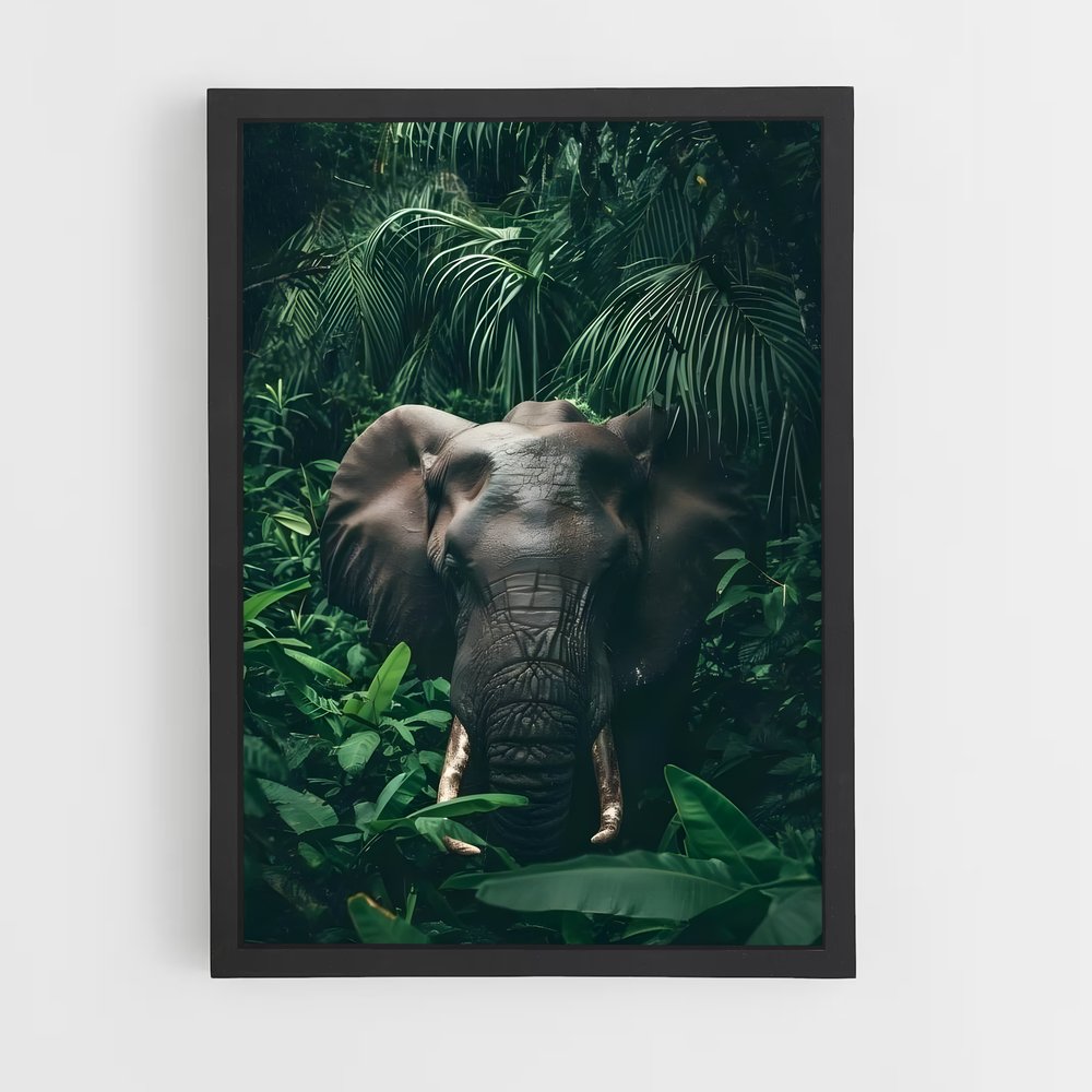 ap-elephant-11 cadre Noir