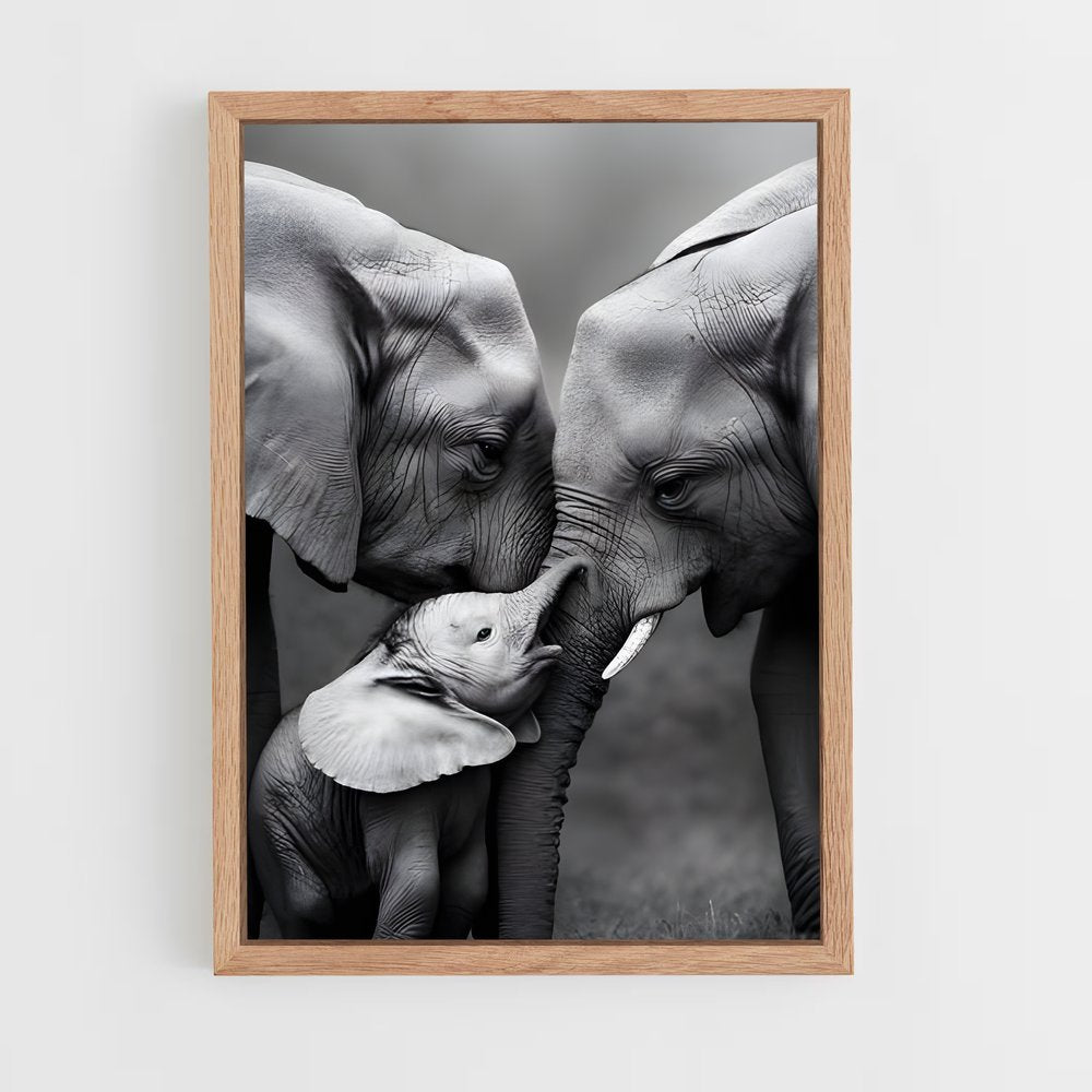 ap-elephant-15 cadre Bois clair