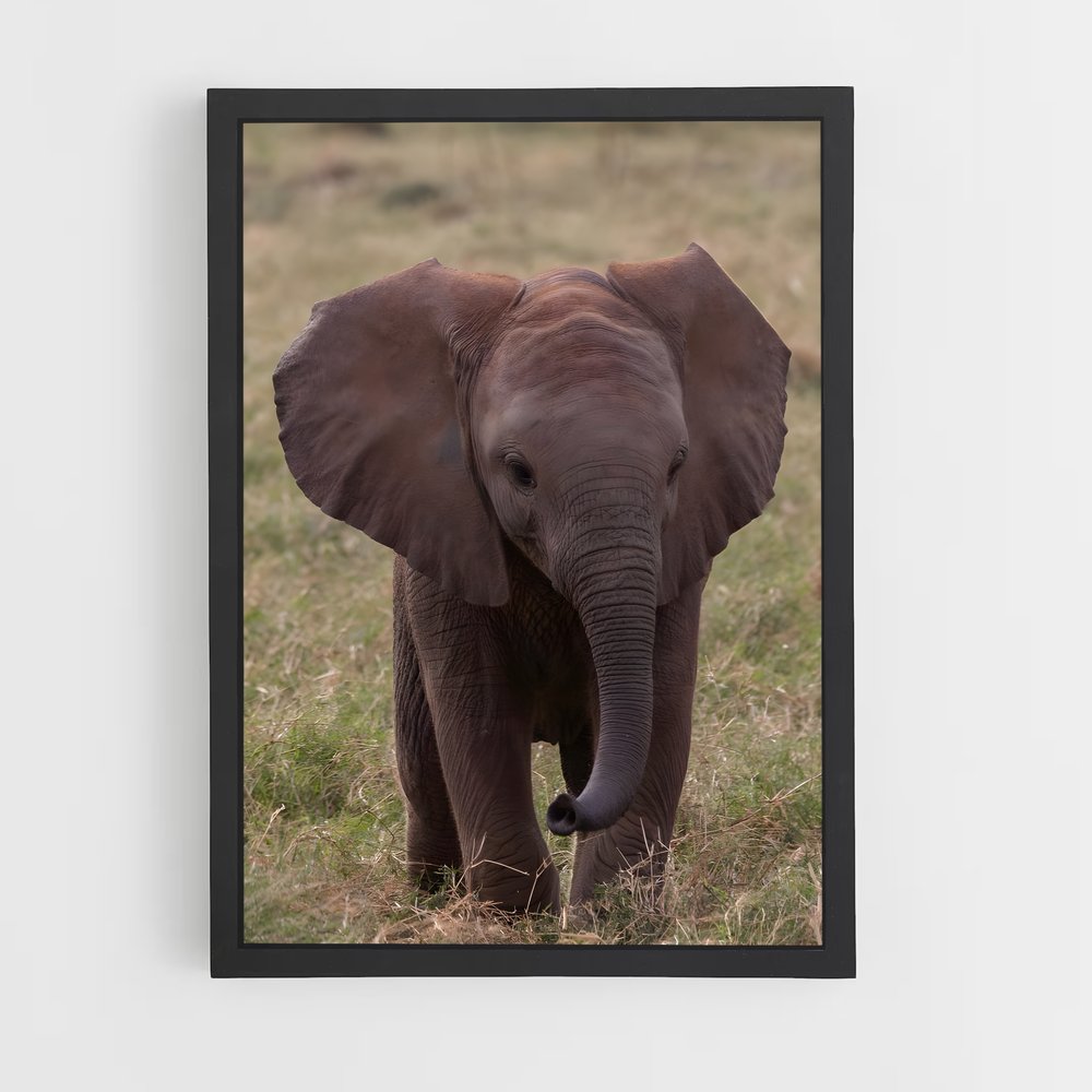 ap-elephant-3 cadre Noir