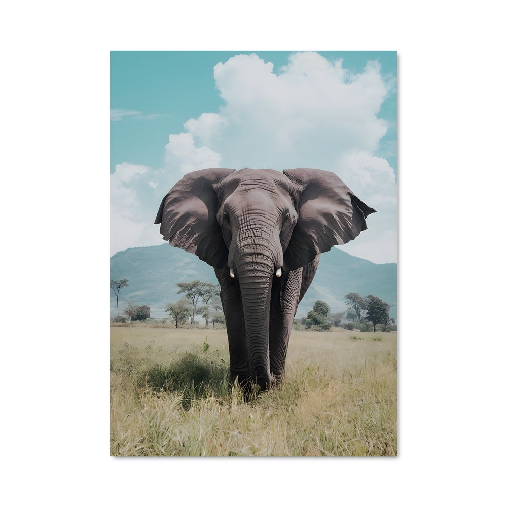 Poster Elephant 83511