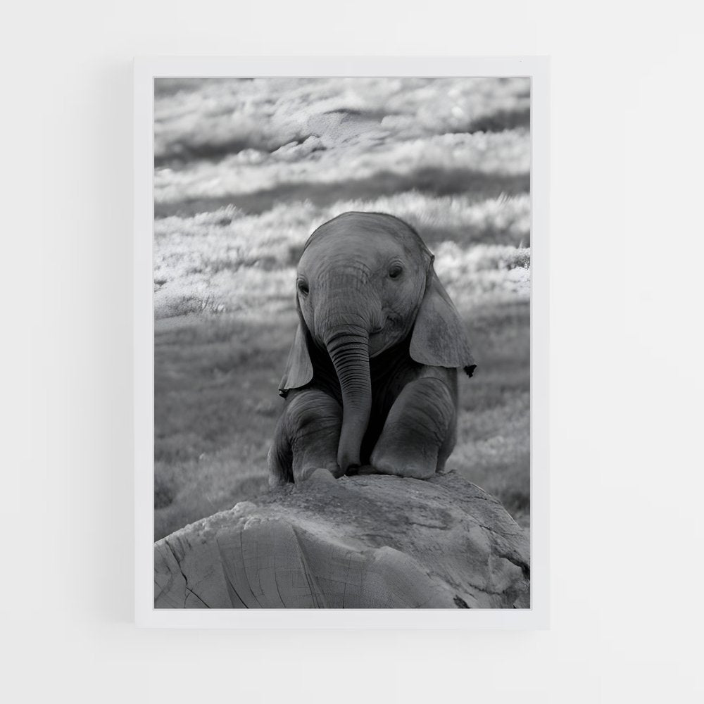 ap-elephant-8 cadre Blanc