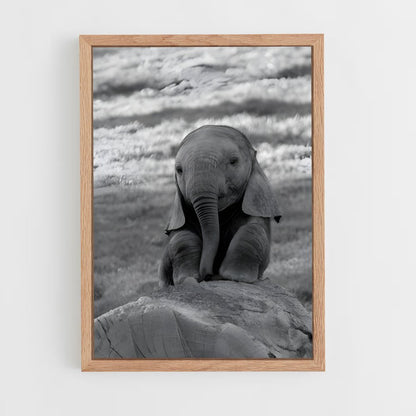 ap-elephant-8 cadre Bois clair