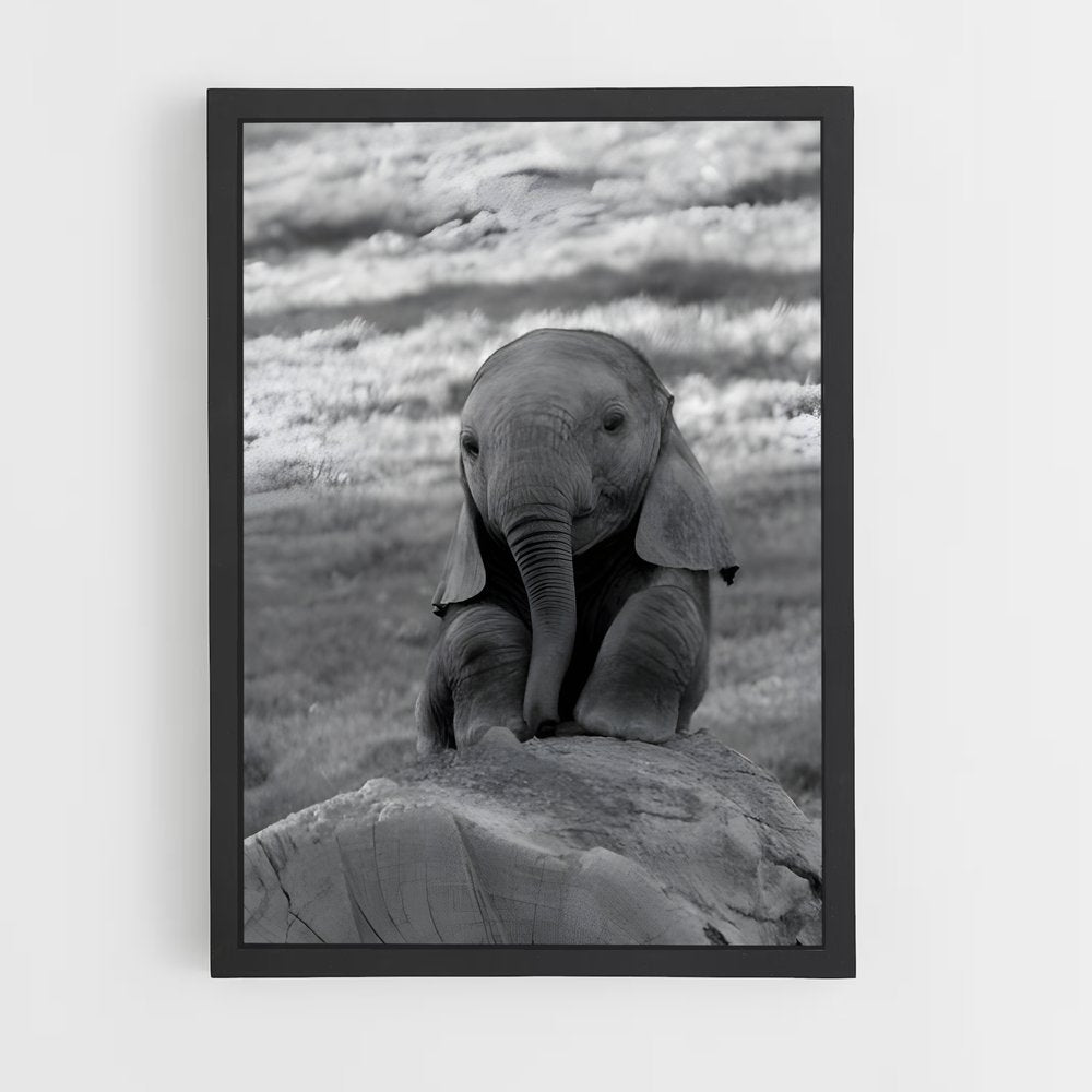 ap-elephant-8 cadre Noir