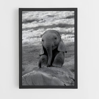 ap-elephant-8 cadre Noir