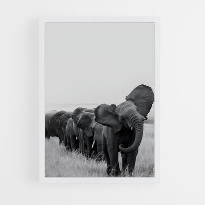 ap-elephant-9 cadre Blanc
