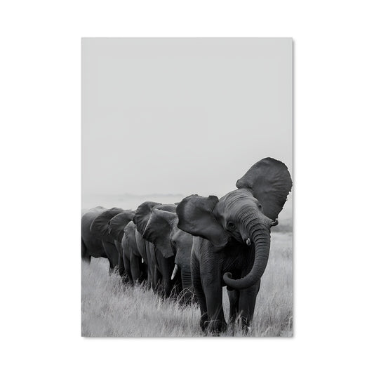 Poster Mosaïque d'Éléphants