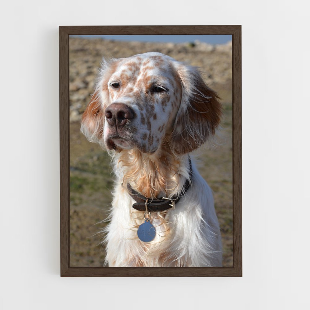 ap-english setter-1 cadre Bois foncé