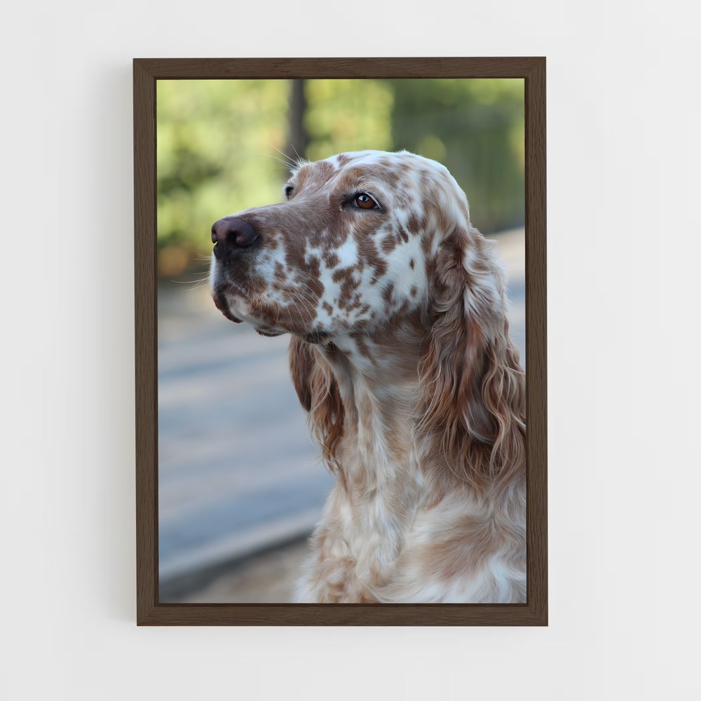 ap-english setter-2 cadre Bois foncé