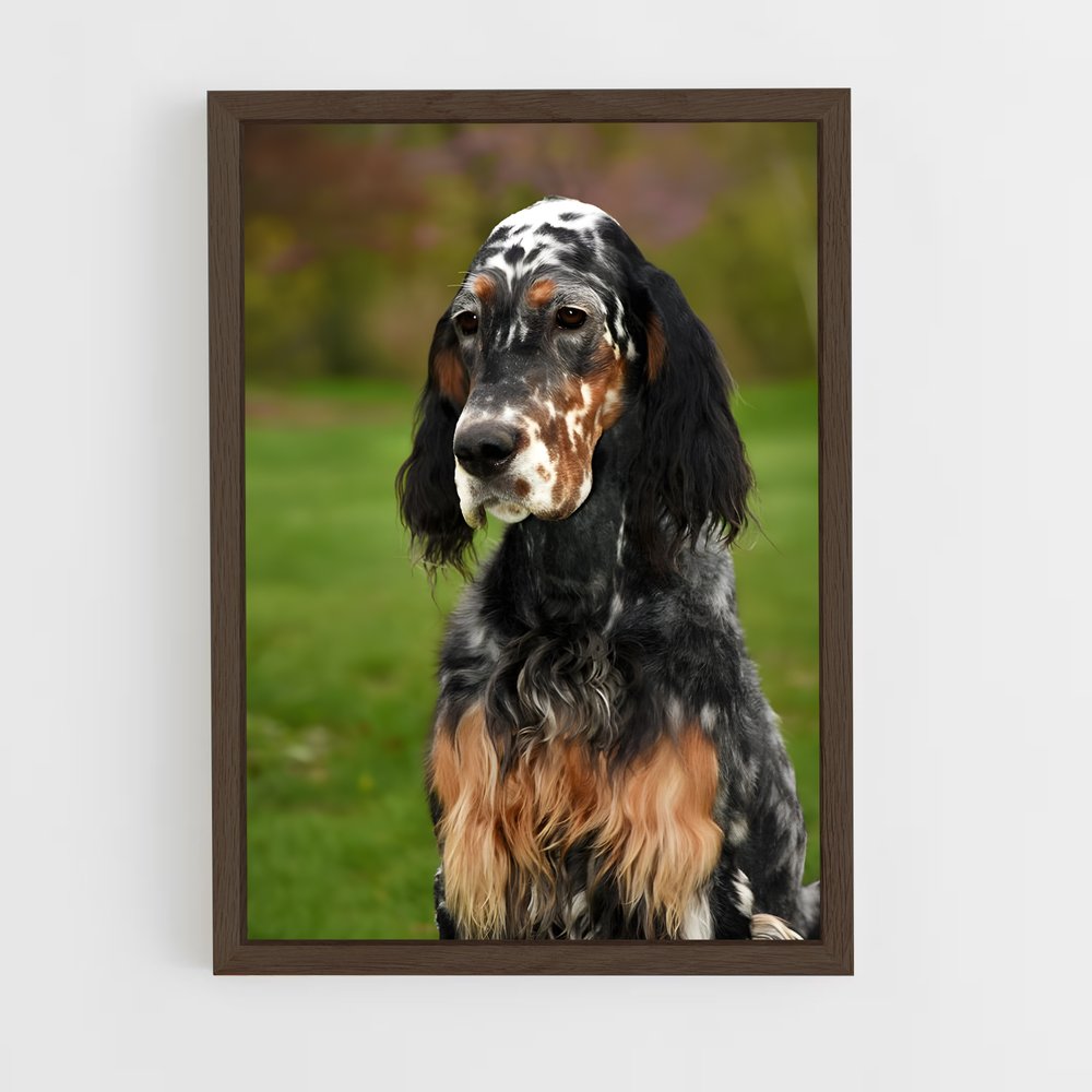 ap-english setter-3 cadre Bois foncé
