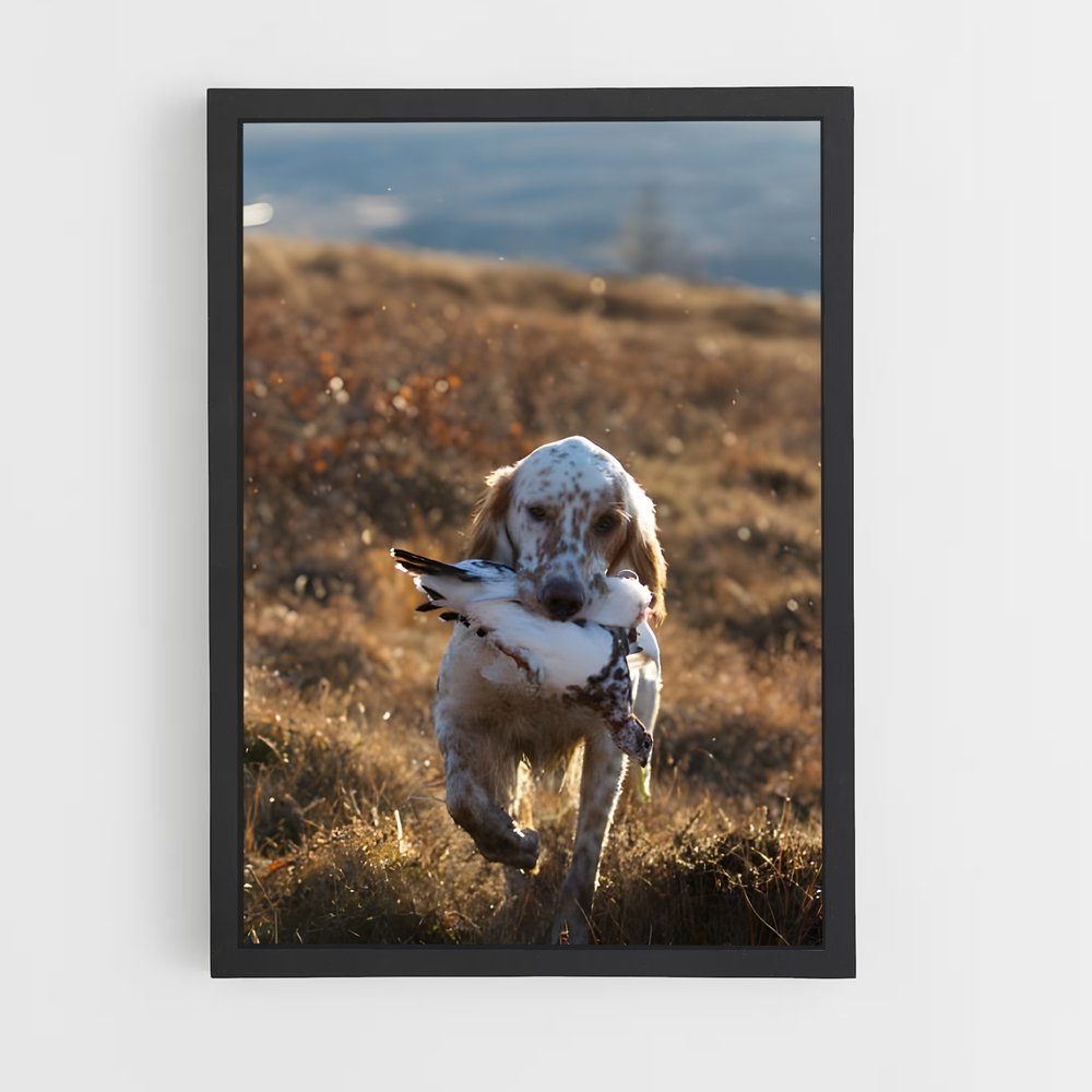 ap-english setter-4 cadre Noir