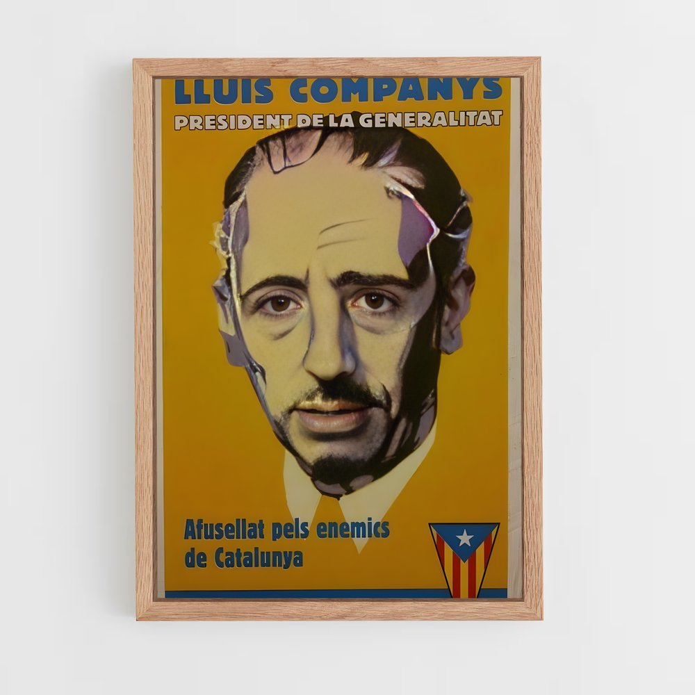 ap-esquerra republicana spain-4 cadre Bois clair