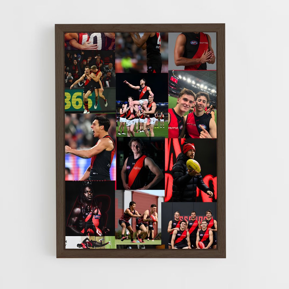 ap-essendon bombers-1 cadre Bois foncé