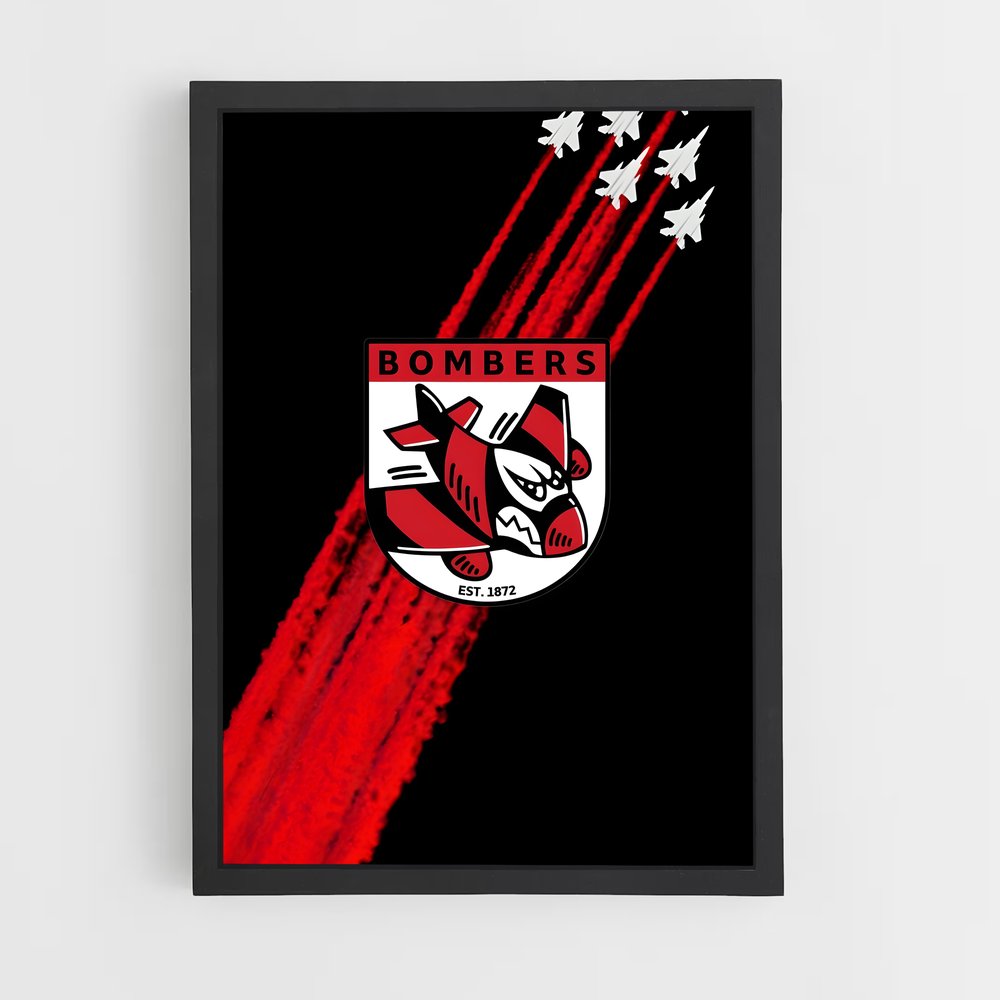 ap-essendon bombers-5 cadre Noir