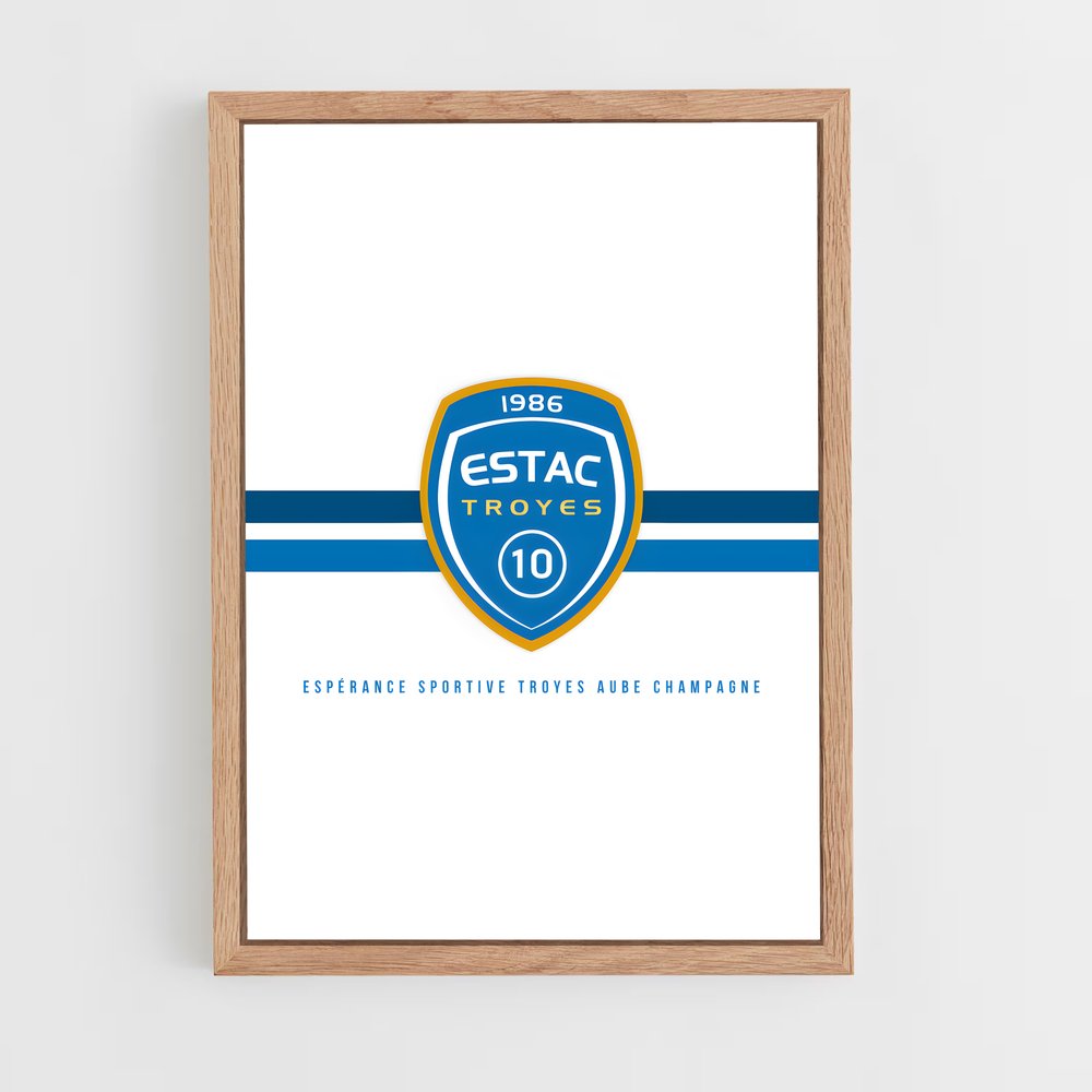 ap-estac troyes-5 cadre Bois clair