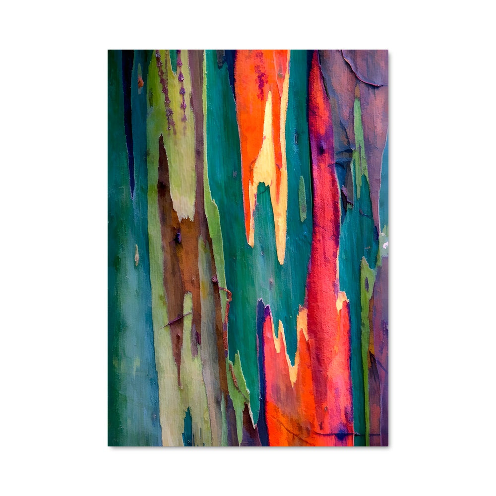 Poster Écorce d'Eucalyptus