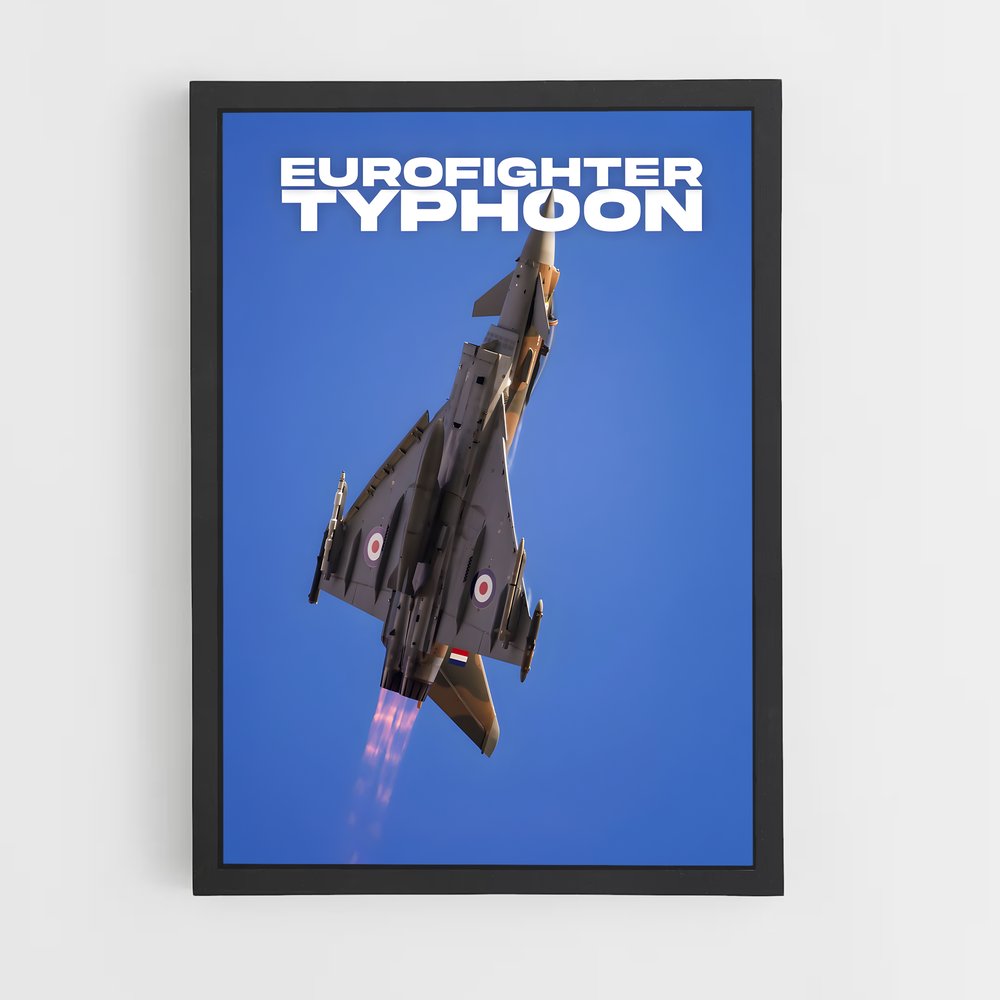 ap-eurofighter typhoon-1 cadre Noir