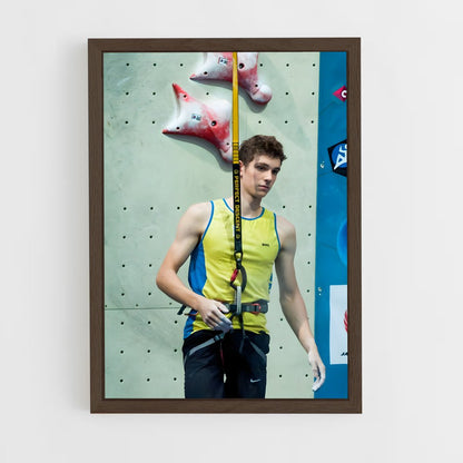 ap-european championships climbing-2 cadre Bois foncé