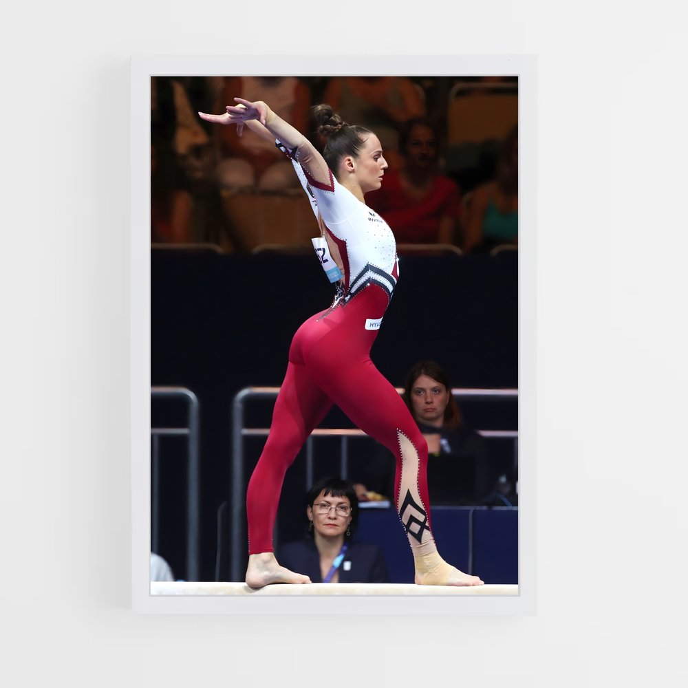 ap-european championships gymnastics-2 cadre Blanc