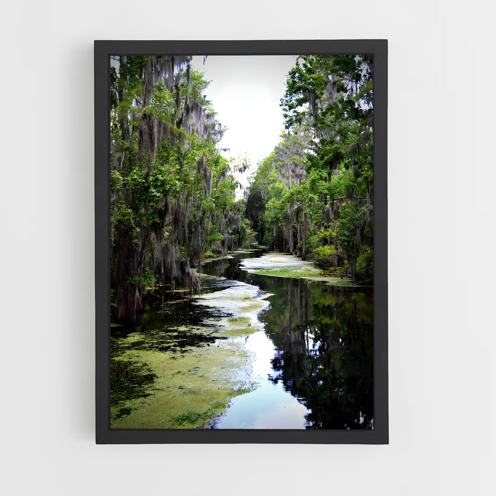ap-everglades-3 cadre Noir