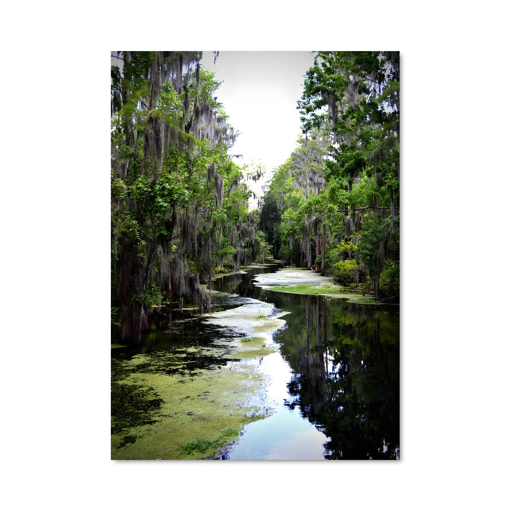 Poster Rêveries Éternelles