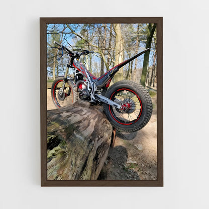 ap-evo 300-1 cadre Bois foncé