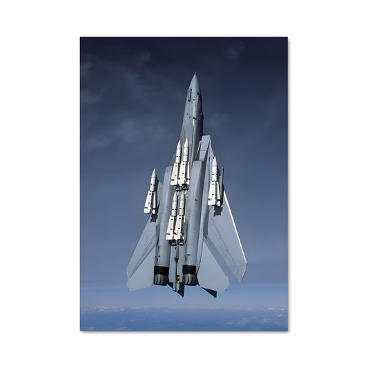 Poster Tomcat en Vol