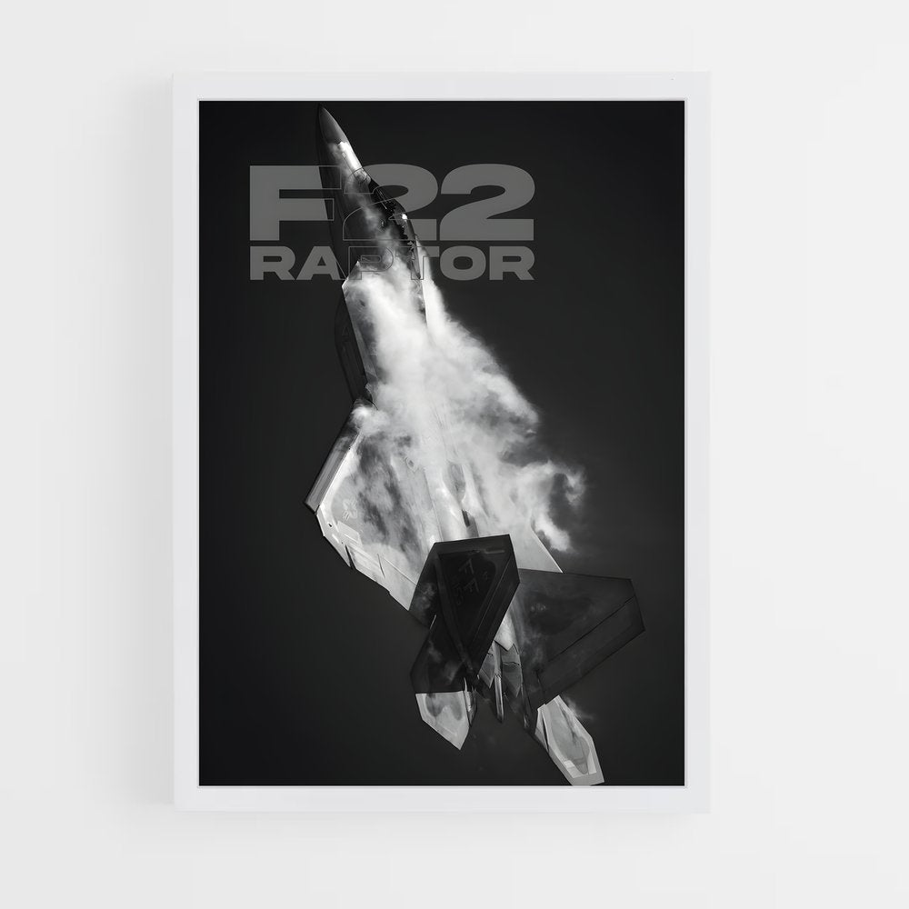 ap-f-22 raptor-1 cadre Blanc