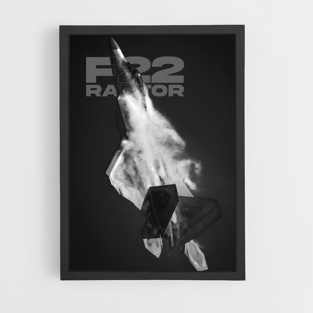 ap-f-22 raptor-1 cadre Noir