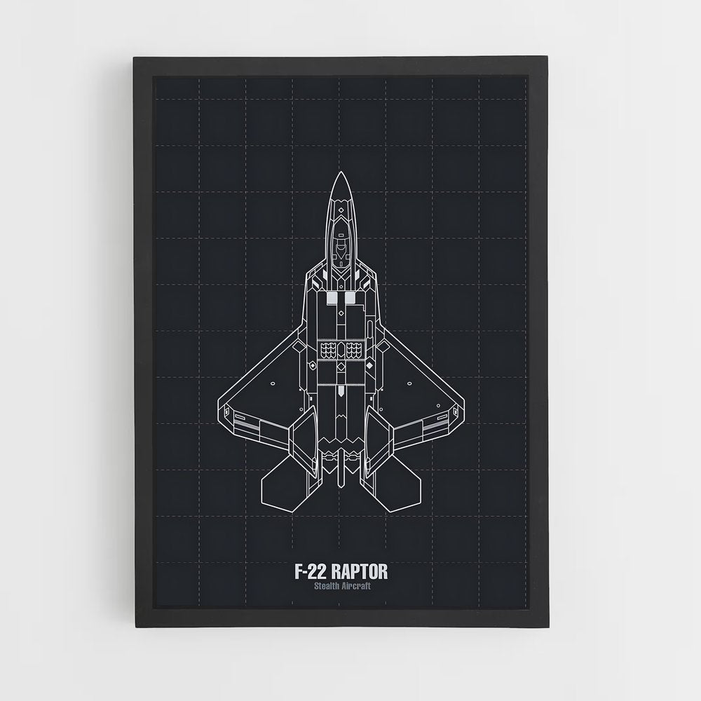 ap-f-22 raptor-10 cadre Noir