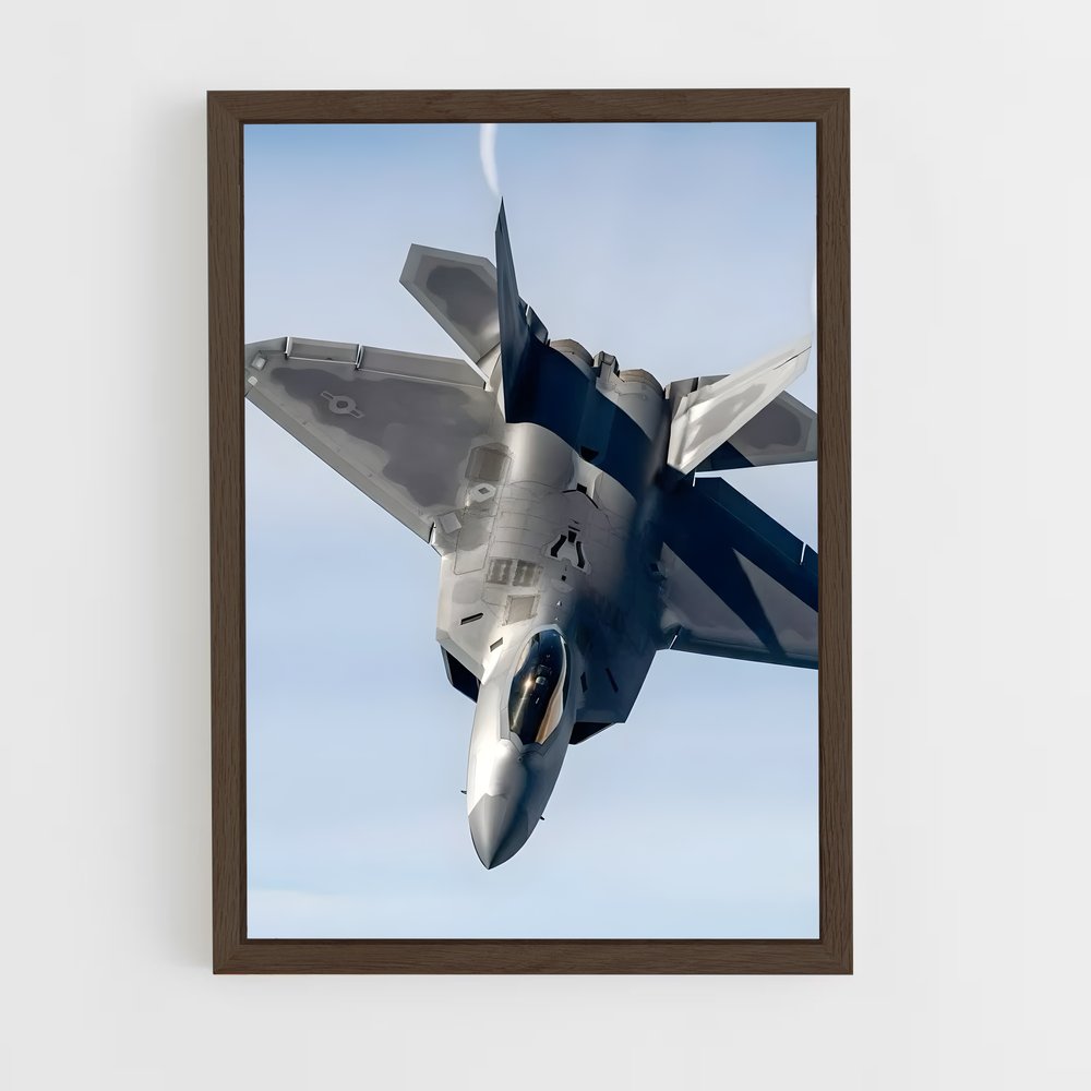 ap-f-22 raptor-2 cadre Bois foncé
